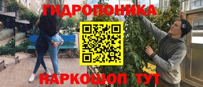 дмт Краснодар