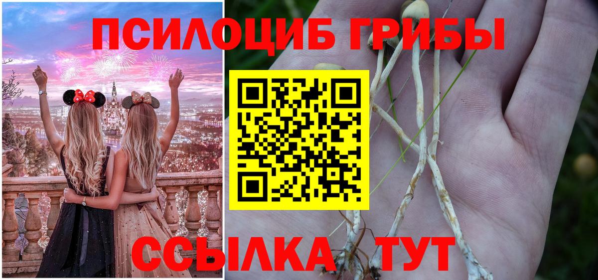 Галлюциногенные грибы Cubensis Каменск-Уральский